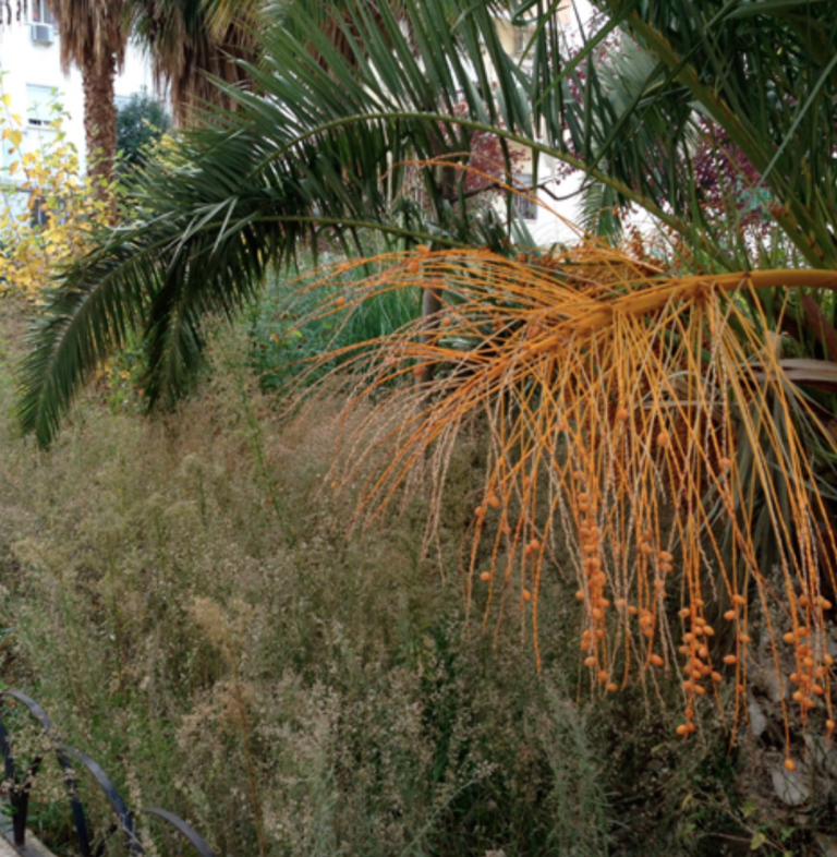 Screenshot at Nov 12 11-22-12