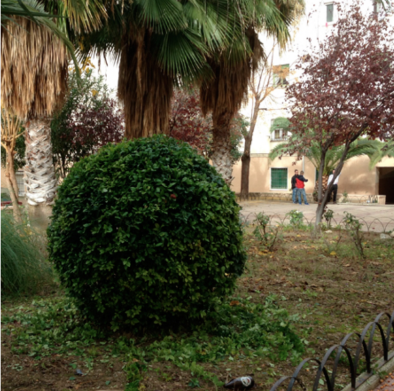 Screenshot at Nov 12 11-22-18